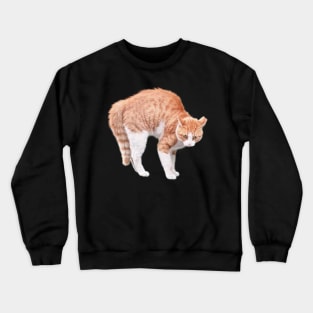 Angry Cat Crewneck Sweatshirt